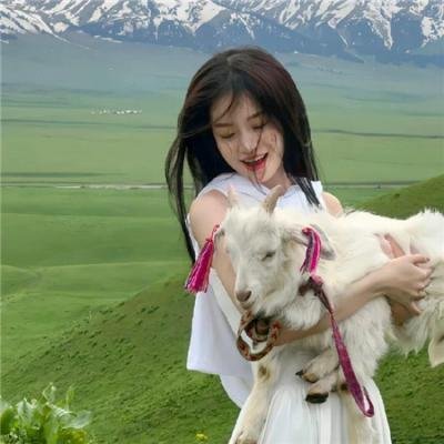 锅匠，裁缝，士兵，间谍