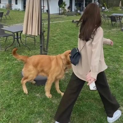 凤阁春残 海报